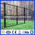 PVC Coated Green Color Ral6005 Double/Single Door Iron Wire Mesh Gate